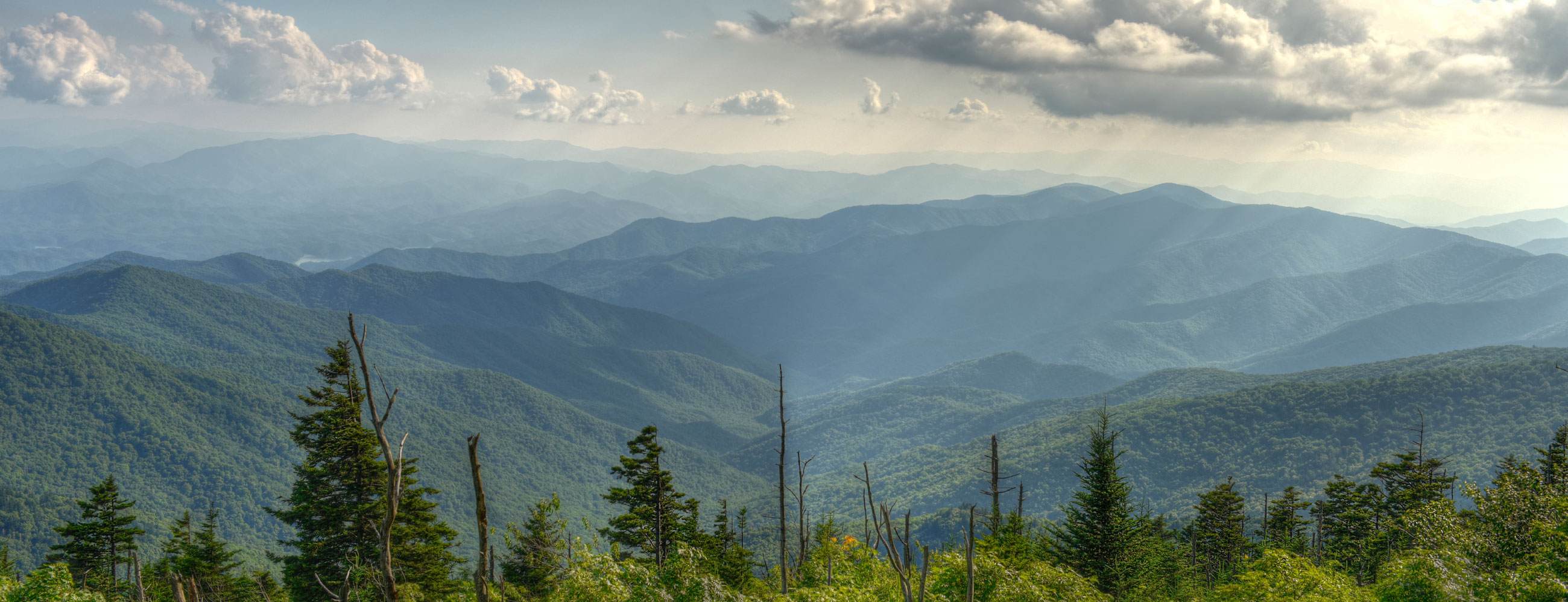 Dhanalakshmi Provision Store -JP Nagar